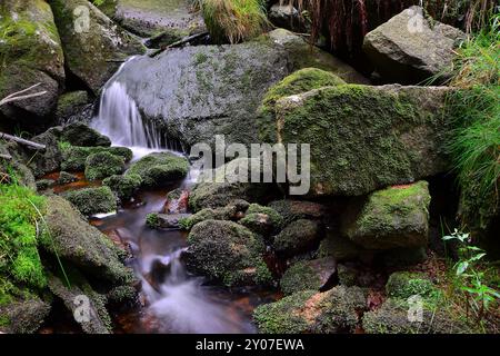 Bergbach im Nationalpark Harz Stockfoto