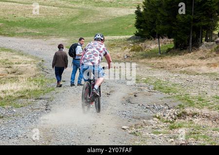 Konflikt zwischen Mountainbiker und Wanderer auf einem Wanderweg auf dem Wurmberg im Nationalpark Harz Stockfoto