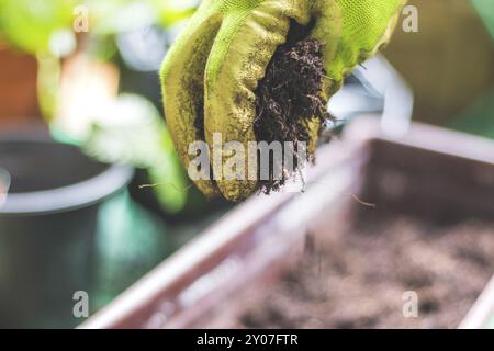 Nahaufnahme von fruchtbarem Boden zum Pflanzen von Gemüse und Kräutern Stockfoto