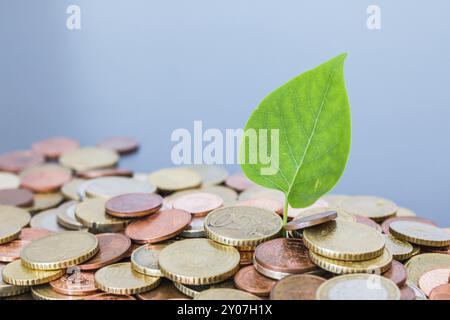 Nachhaltige Investitionen Geld Konzept: Münzen auf jedem anderen, grünes Blatt geheftet Stockfoto