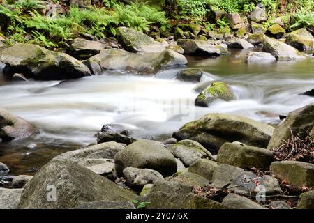 Der romantische Bergbach Bode im Nationalpark Harz Stockfoto