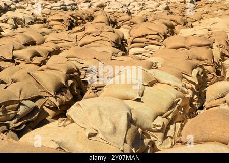 Sandsäcke auf Paletten während der Überschwemmungen in Magdeburg 2013 Stockfoto