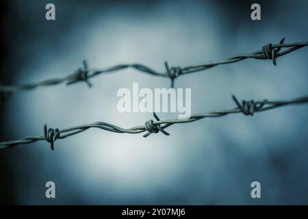 Stacheldraht auf einem Metallzaun der Grenze, Nahaufnahme, verschwommenen Hintergrund abzugrenzen Stockfoto