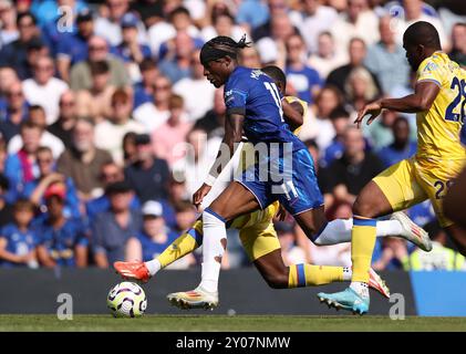 Chelsea's Noni Madueke in Aktion während des Premier League-Spiels in Stamford Bridge, London. Bilddatum: Sonntag, 1. September 2024. Stockfoto