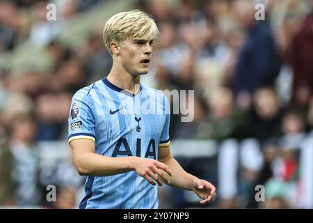 Newcastle, Großbritannien. September 2024. Lucas Bergvall von Tottenham Hotspur während des Premier League-Spiels Newcastle United gegen Tottenham Hotspur im St. James's Park, Newcastle, Vereinigtes Königreich, 1. September 2024 (Foto: Mark Cosgrove/News Images) in Newcastle, Vereinigtes Königreich am 1. September 2024. (Foto: Mark Cosgrove/News Images/SIPA USA) Credit: SIPA USA/Alamy Live News Stockfoto