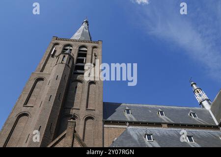 Hohes gotisches Kirchengebäude mit Türmen, von unten gegen einen klaren blauen Himmel, aalten 2 Stockfoto