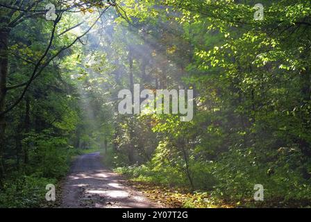 Nass-Boden-Brücke, Nass-Boden-Brücke 05 Stockfoto