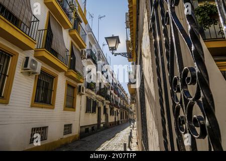 Gasse mit bunten Häusern in der Altstadt, charmante Straße mit Laterne in der historischen Altstadt (Casco Antiguo) in Sevilla, Spanien, Europa Stockfoto