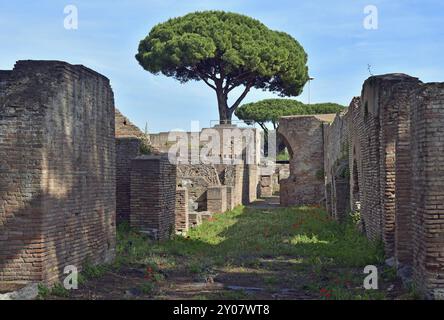 Straße in Ostia Antica, Häuser, Kiefern Stockfoto