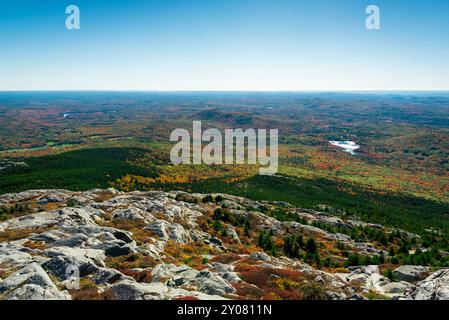 Blick auf den Wald von New Hampshire vom Mount Monadnock Stockfoto