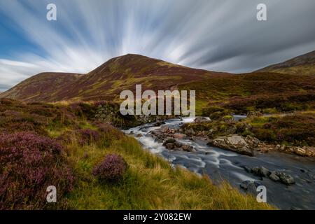 Eine alte Steinbrücke über das Clunie-Wasser mit Heidekraut in voller Blüte. Gelegen in Cairngorms, Schottland. Stockfoto