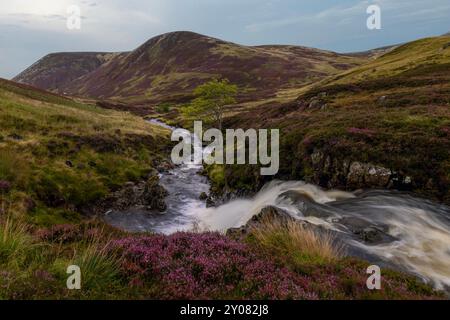 Der Fluss Clunie Water in den Cairngorms, Aberdeenshire, Schottland. Stockfoto