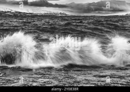 Surfen im Lake Tornetraesk, Norrbotten, Lappland, Schweden, Januar 2014, Europa Stockfoto