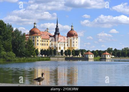 Jagdschloss Moritzburg im Sommer. Schloss Moritzburg in Sachsen Stockfoto