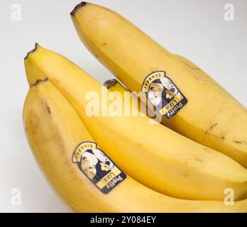 Hübsche Liza Banane. Stockfoto