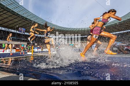 Berlin, Deutschland. September 2024. Leichtathletik: Meeting, ISTAF, Entscheidung, 2000 m Hindernislauf, Frauen, Olympiastadion. Teilnehmer in Aktion. Darlegung: Andreas Gora/dpa/Alamy Live News Stockfoto