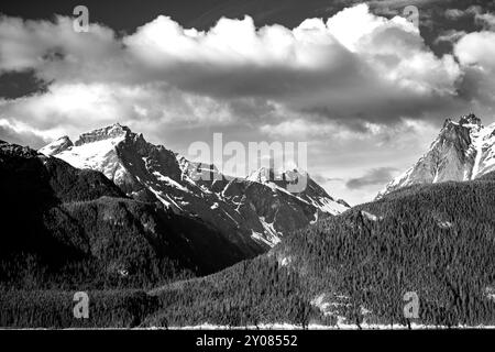 Schwarzweißfoto. Alaska Wildnis Stockfoto