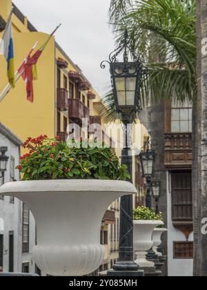 Straßenszene mit Pflanzgefäßen, Laternen und historischen Gebäuden, La palma, kanarische Inseln, spanien Stockfoto