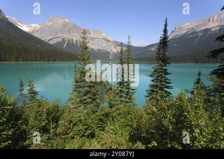 Emerald Lake im Yoho National Park in British Columbia Stockfoto