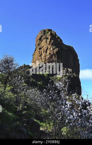 Roque Bentayga Stockfoto