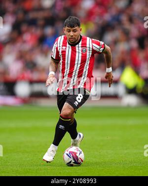 Gustavo Hamer von Sheffield United während des Sky Bet Championship Matches in der Bramall Lane, Sheffield Bilddatum: Sonntag, 1. September 2024. Stockfoto