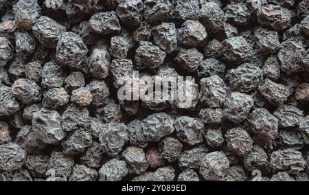 Nahaufnahme der getrockneten Aronia melanocarpa (schwarze Aronia melanocarpa), selektiver Fokus. Stockfoto
