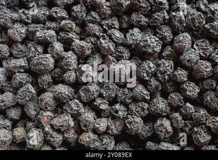 Nahaufnahme der getrockneten Aronia melanocarpa (schwarze Aronia melanocarpa), selektiver Fokus. Stockfoto
