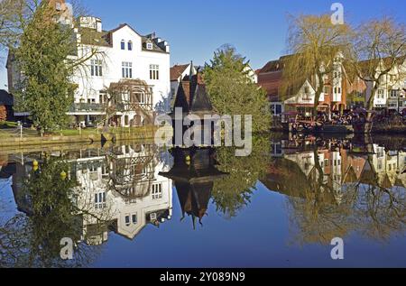 Europa, Deutschland, Niedersachsen, Buxtehude, Metropolregion Hamburg, Stadtpark im Frühjahr, Vogelhaus im Teich, Hamburg, Hamburg, Bundesrepublik Stockfoto