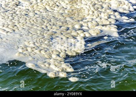 Schmutzige Stelle schaumig Verschmutzung schwebt über das Meerwasser Stockfoto