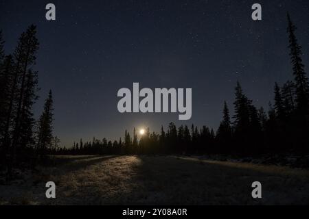 Mondlicht, Muddus-Nationalpark, Laponia-Weltkulturerbe, Norrbotten, Lappland, Schweden, Oktober 2014, Europa Stockfoto