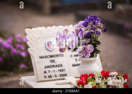 Lila Blumen in einer kleinen weißen Vase auf einem Marmorgrab Stockfoto