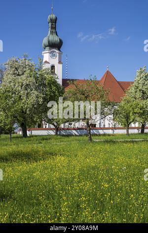 Kirche in Oberbayern mit Frühlingswiese Stockfoto