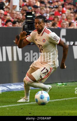 München, Deutschland. September 2024. MÜNCHEN, DEUTSCHLAND - 1. SEPTEMBER: Michael Olise von Bayern München während des Bundesliga-Spiels zwischen dem FC Bayern München und dem SC Freiburg in der Allianz Arena am 1. September 2024 in München.240901 SEPA 24 007 - 20240901 PD13471 Credit: APA-PictureDesk/Alamy Live News Stockfoto