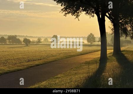 Feldweg im Morgennebel, Morgennebel in einem kreisrunden Gebiet, kleine Straße Stockfoto