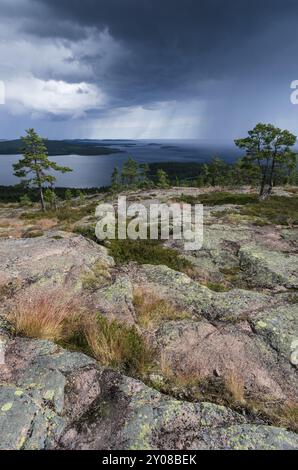 Regenschauer über dem Bottnischen Golf, Skuleskogen-Nationalpark, Hoega Kusten-Weltkulturerbe, Vaesternorrland, Schweden, Juli 2012, Europa Stockfoto