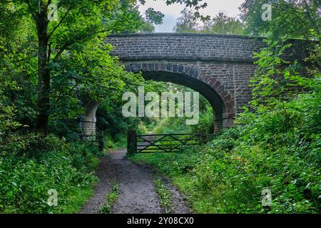 Stillgelegte Eisenbahnstrecke in der Nähe von Kirkby Stephen, Cumbria Stockfoto