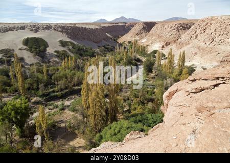 Valle de Jere in der Atacamawüste in Chile Stockfoto