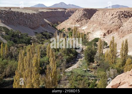 Valle de Jere in der Atacamawüste in Chile Stockfoto