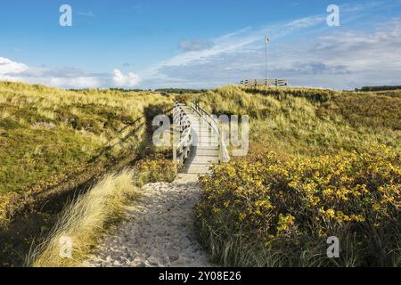 Landschaft in den Dünen auf der Insel Amrum Stockfoto