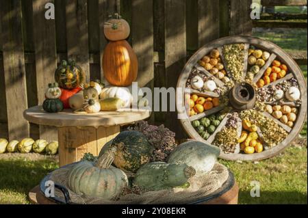 Verschiedene Kürbisse und Gemüsearrangements auf einem Holztisch, dahinter ein Rad mit verschiedenen Kürbissen, borken, münsterland, Deutschland, Europa Stockfoto