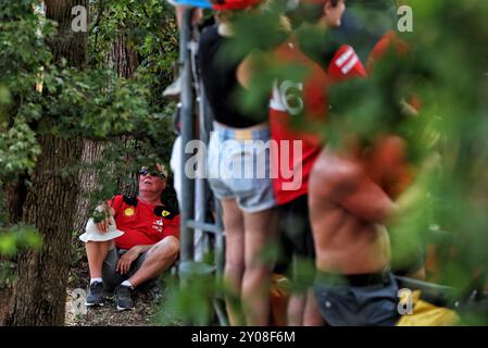 Monza, Italien. September 2024. Kreislaufatmosphäre – Lüfter. Formel-1-Weltmeisterschaft, Rd 16, großer Preis von Italien, Sonntag, 1. September 2024. Monza Italien. Quelle: James Moy/Alamy Live News Stockfoto