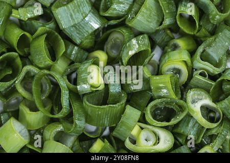 Frisch geschnittene Frühlingszwiebeln (Nahaufnahme) als Hintergrundbild oder als Textur Stockfoto