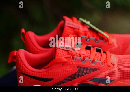 Tyumen, Russland, 20. Juni 2024: Sneakers mit Reebok-Logo und die Box mit dem Reebok Stockfoto