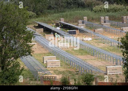 Team von Fachleuten, die Solarpaneele in einem Solarenergiepark installieren Stockfoto