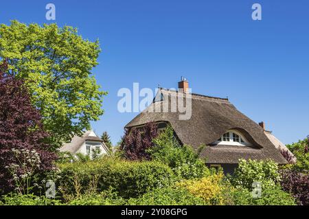 Traditionelles Haus am Fischland-Darss in Wieck Stockfoto