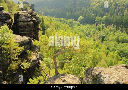 Bielatal, Bielatal 22 Stockfoto