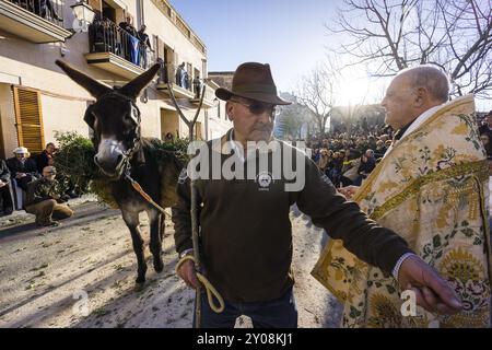 Beneides de Sant Antoni, Muro, Mallorca, Balearen, Spanien, Europa Stockfoto
