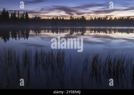 Abendstimmung an einem Waldsee, Norrbotten, Lappland, Schweden, August 2013, Europa Stockfoto