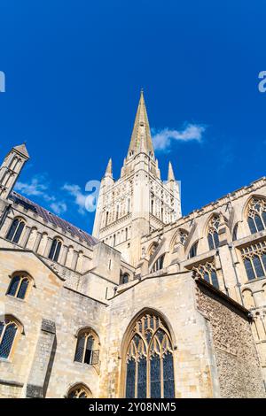 Blick auf die Kathedrale von Norwich von der Straße im Portrait Stockfoto