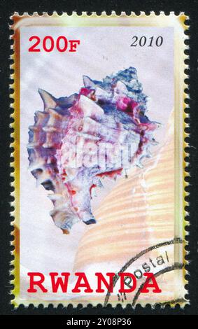 RUANDA - CIRCA 2010: Stempel gedruckt von Ruanda, zeigt Shell, um 2010 Stockfoto